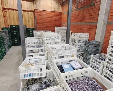 +300 Clientes no Brasil.